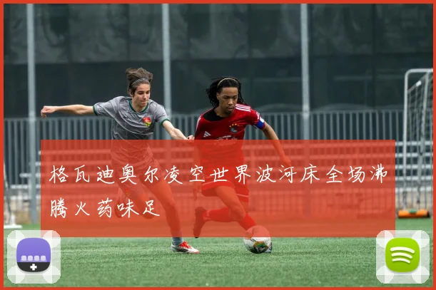 格瓦迪奥尔凌空世界波河床全场沸腾火药味足