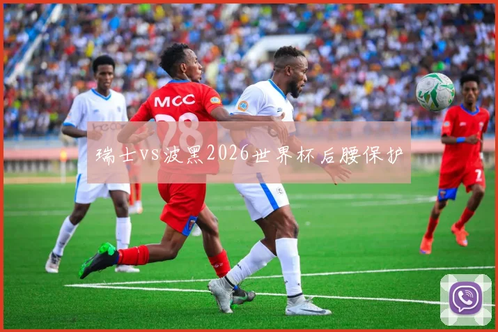 瑞士vs波黑2026世界杯后腰保护