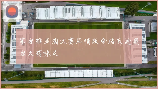 塞尔维亚淘汰赛压哨改命格瓦迪奥尔火药味足
