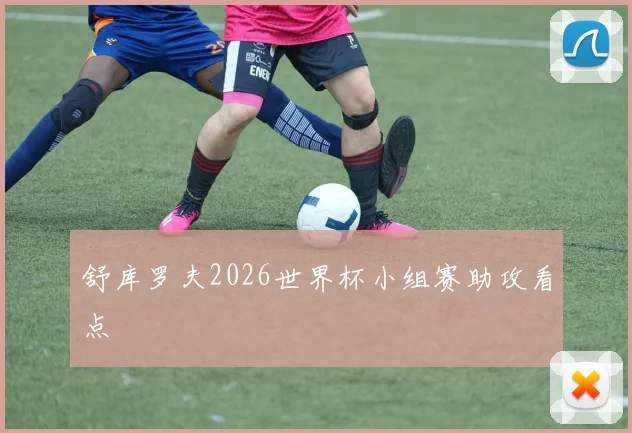 舒库罗夫2026世界杯小组赛助攻看点
