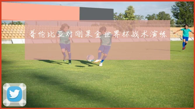 哥伦比亚对刚果金世界杯战术演练
