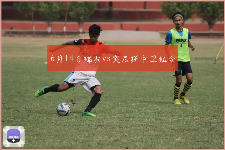 6月14日瑞典vs突尼斯中卫组合