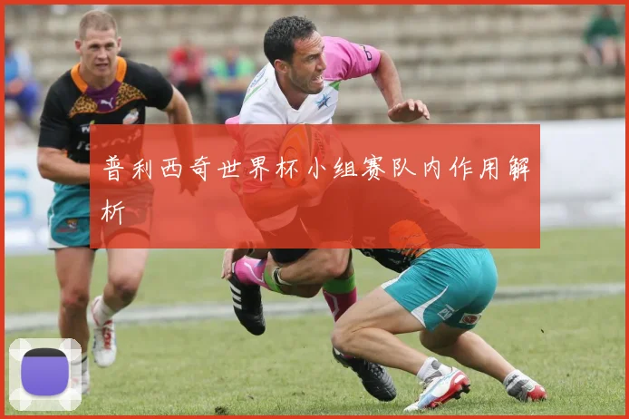普利西奇世界杯小组赛队内作用解析