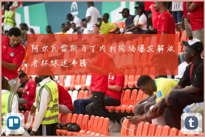 阿尔瓦雷斯马丁内利同场爆发解放者杯球迷沸腾