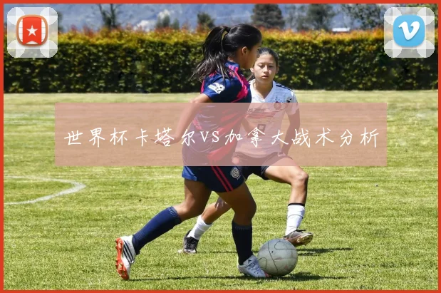 世界杯卡塔尔vs加拿大战术分析