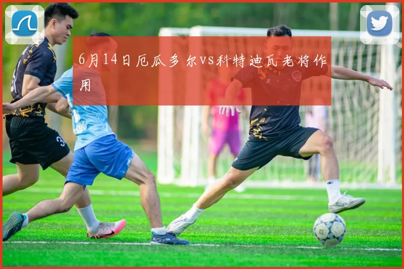 6月14日厄瓜多尔vs科特迪瓦老将作用